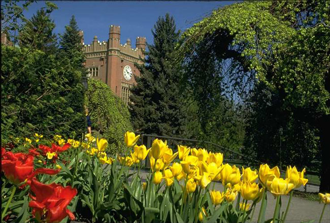 University of Idaho Flowers